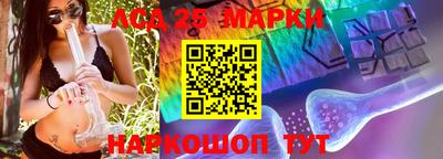 ПСИЛОЦИБИНОВЫЕ ГРИБЫ Краснодар